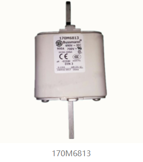 170M6813
